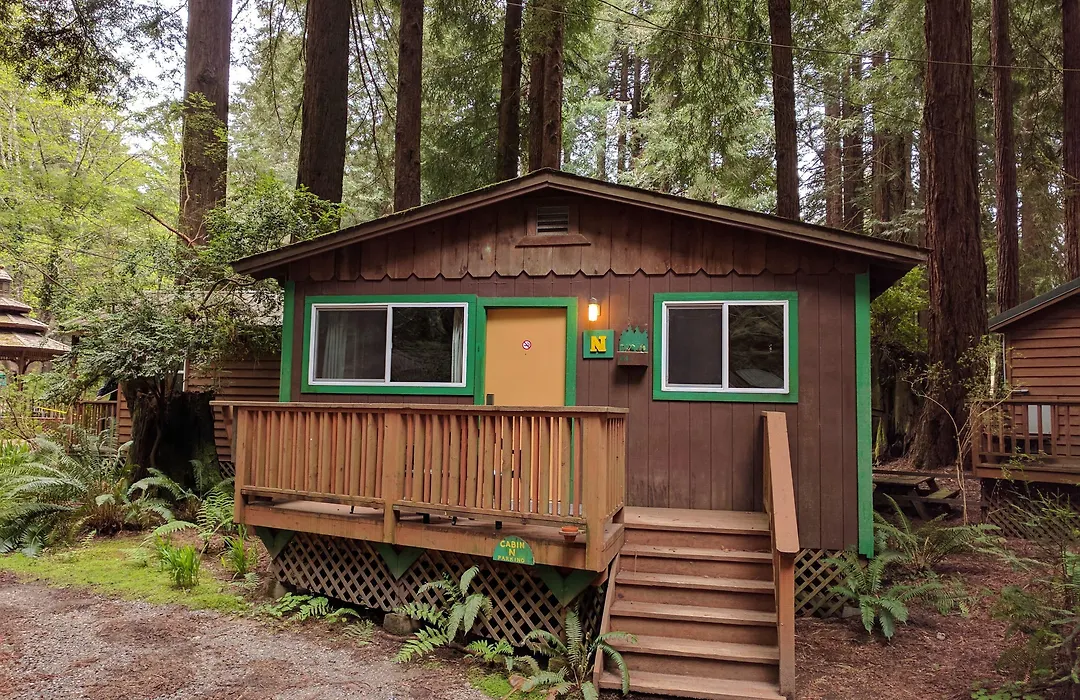 Emerald Forest Cabins-1