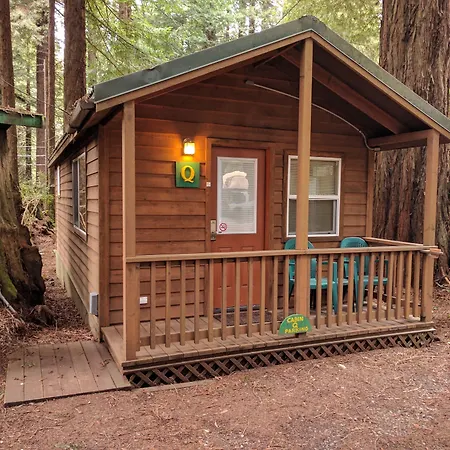 Emerald Forest Cabins-3